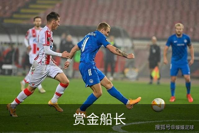 赏金船长公司简介